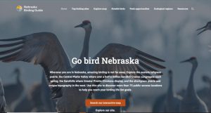 A screen grab of the home page of the new Nebraska Birding Guide site that uses a sandhill crane, one of Nebraska's most iconic birds.