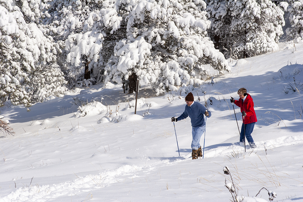 A older man and woman snow ski across a snow covered, tree-lined landscape.