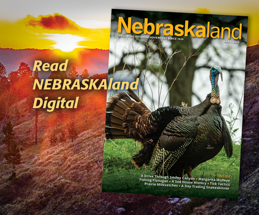 Fly-Fishing Basics • Nebraskaland Magazine