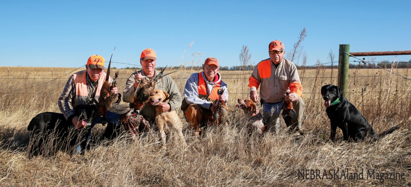 A group of upland hunters and dogs.