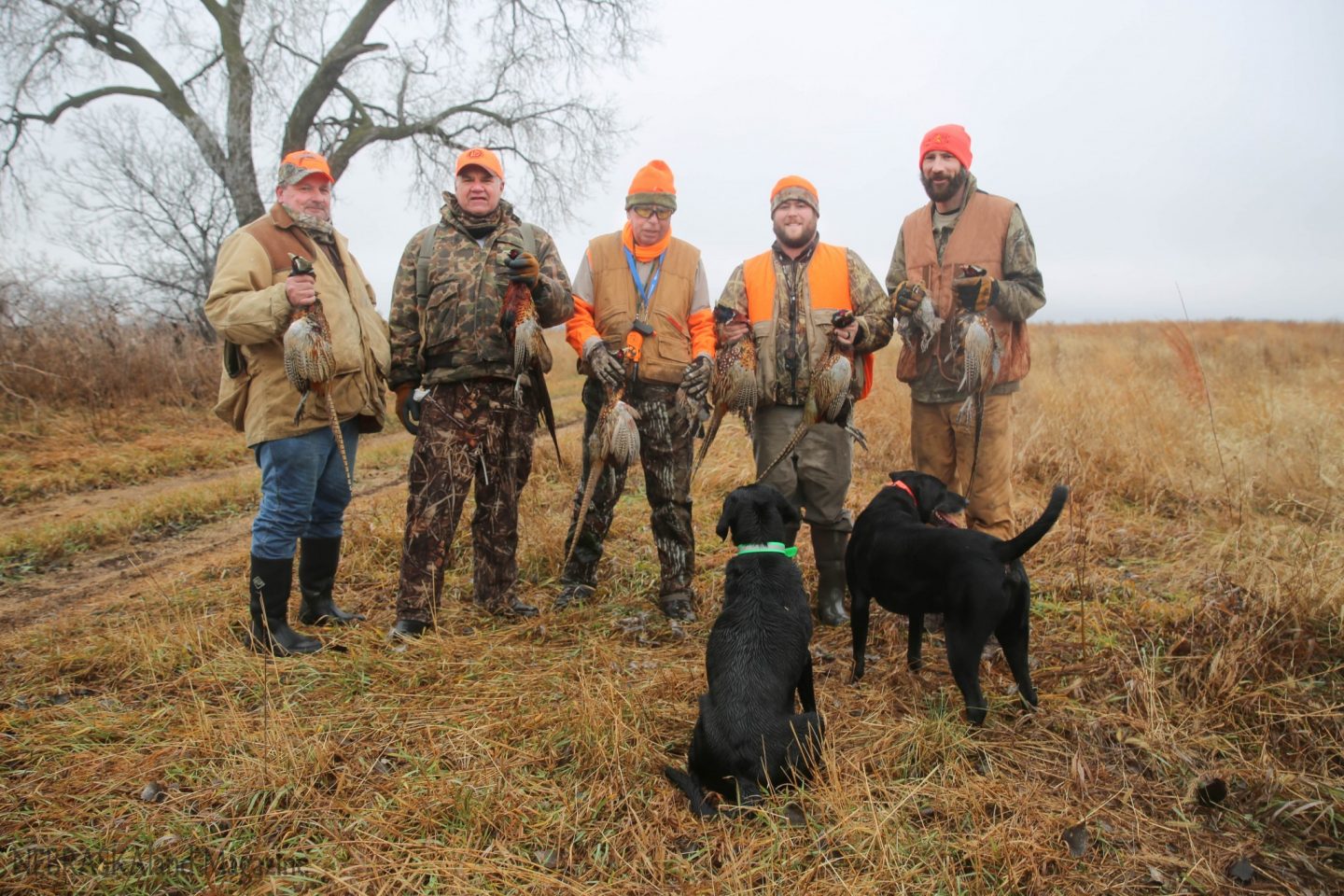 Hunters, dogs and pheasants in hand.