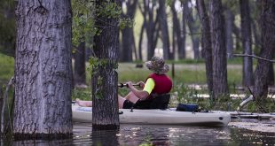 Kayaking in trees