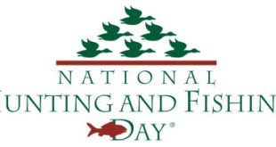 nhf-day-logo