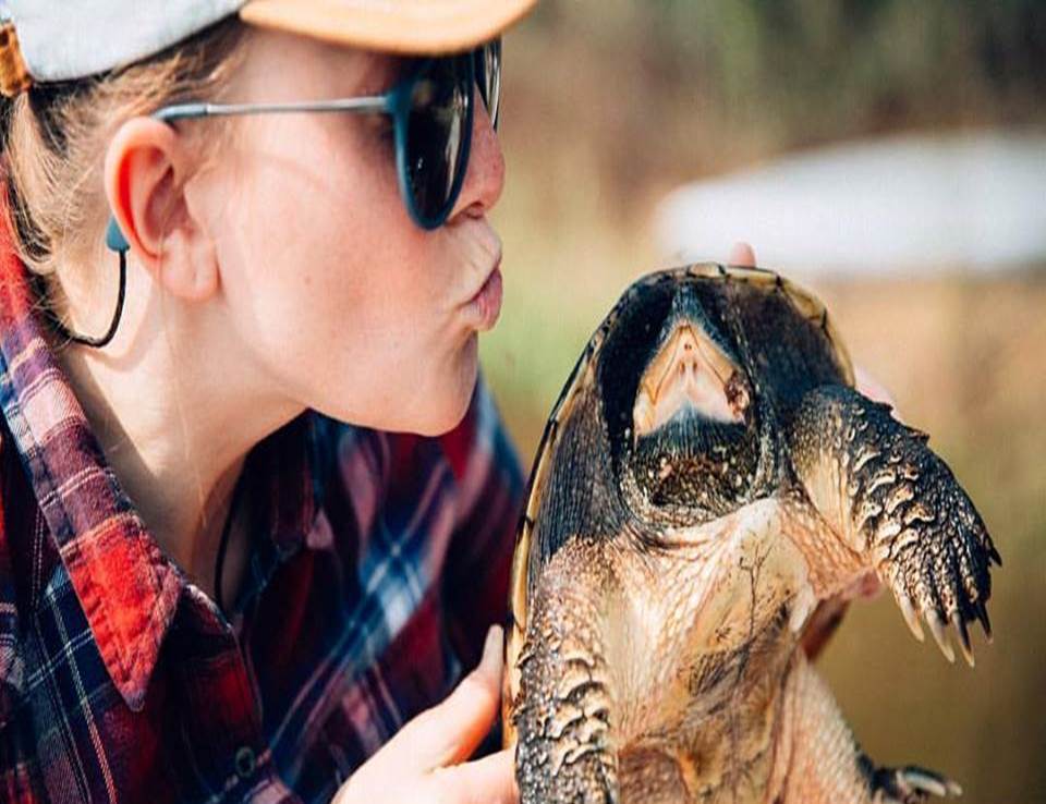 Is it OK to kiss a turtle?