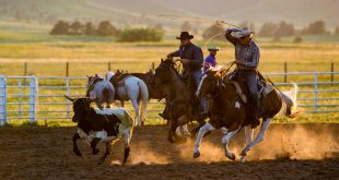 Fort Robinson Rodeo