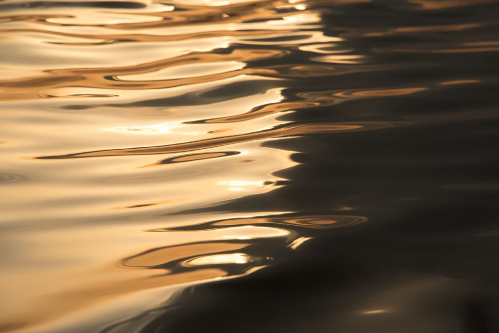 Ripples of life-giving water in a saline wetland reflect the smoky gold of a summer sunset.