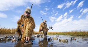 Nebraskaland cover story on teal hunting