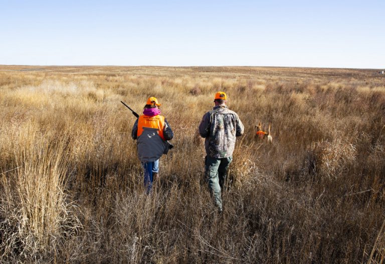 Oct. 2425 youth pheasant season includes Special Youth Hunts