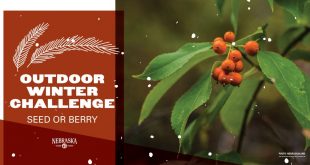 Outdoor Winter Challenge graphic