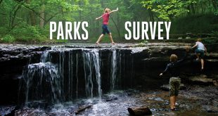 Park survey graphic