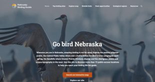 A screen grab of the home page of the new Nebraska Birding Guide site that uses a sandhill crane, one of Nebraska's most iconic birds.