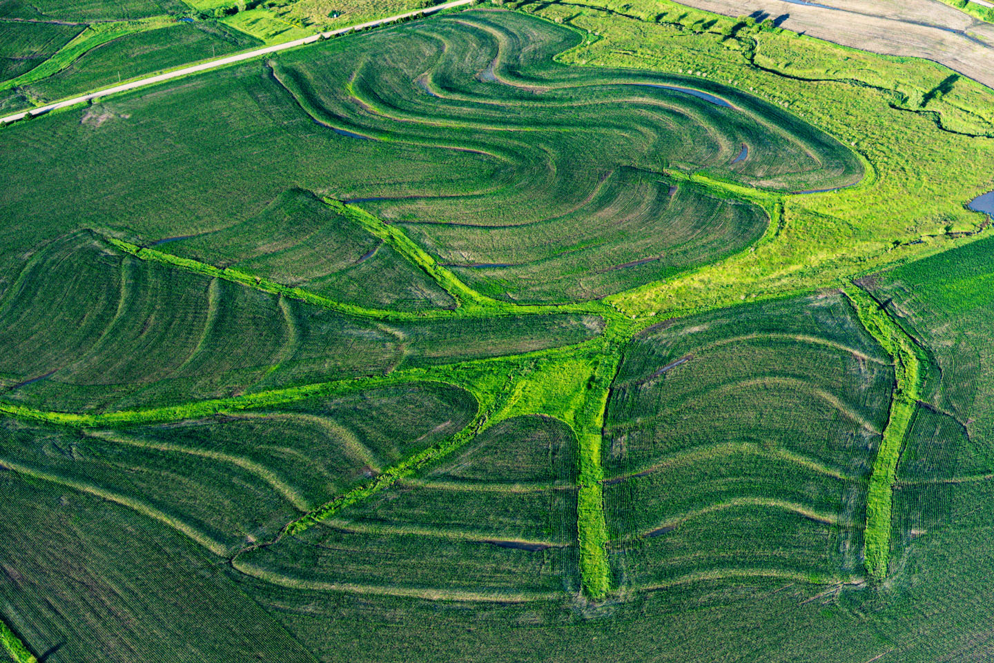 Field spider web aerial