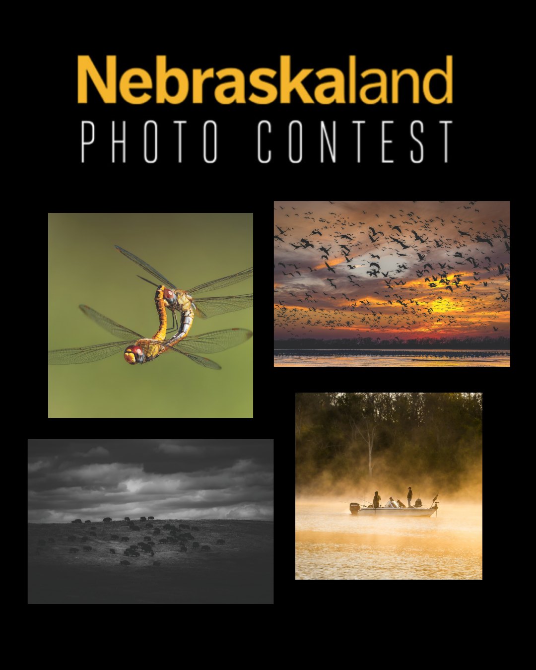 From Oct. 1-31, 2026, photographers of all ages and skill levels are invited to submit photos in four categories:

Macro — Close-ups of native wildflowers, foliage, fruiting bodies, insects and other small creatures, or other details of the natural world that are not often seen up close.
Flora/Fauna — native plants, trees, wildflowers, mammals, birds, reptiles, amphibians, fish and other wildlife.
Landscape — Nebraska’s diverse landscapes, including prairies, forests, rivers, lakes, wetlands, rock formations and the skies above them.
Hunting and Fishing — wildlife, anglers, hunters, hunting dogs, gear, and other aspects of these outdoor pursuits.

All photos must be taken in Nebraska. Submissions will be judged by Nebraskaland staff, and winning photos will be published in the January/February 2026 issue of Nebraskaland Magazine. First-, second-, and third-place prizes will be awarded in all categories, and a Best in Show prize also will be awarded.

Learn more and submit your entry, search "Photo Contest," at Magazine.OutdoorNebraska.gov.

#Nebraskaland #OutdoorNebraska #NebraskalandPhotoContest2026