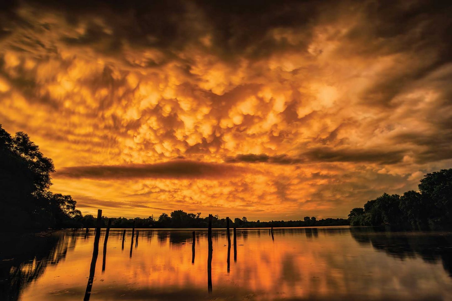 A silhouetted tree line reflects on the water; the sky and water are both orange from the setting sun