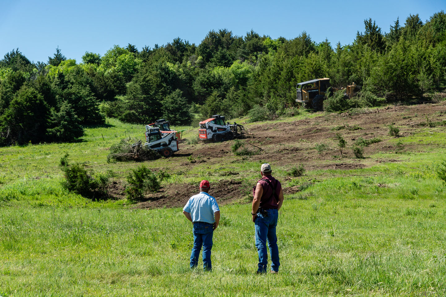 Eastern red cedar control