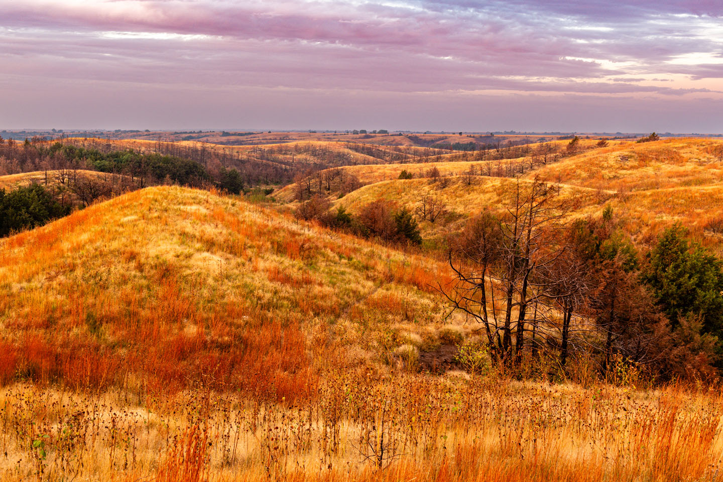 Loess canyons grassland