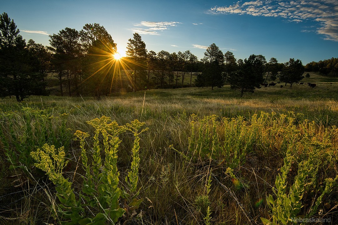 Stories Archives - Page 67 of 80 - Nebraskaland Magazine