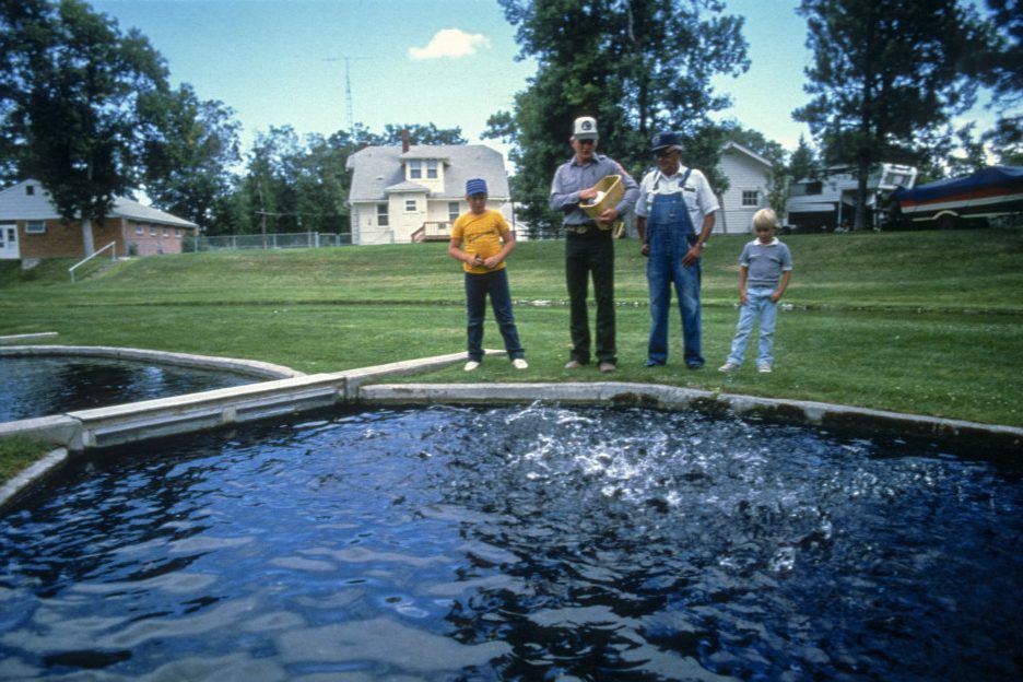 Feeding fish at Crawford Hatchery