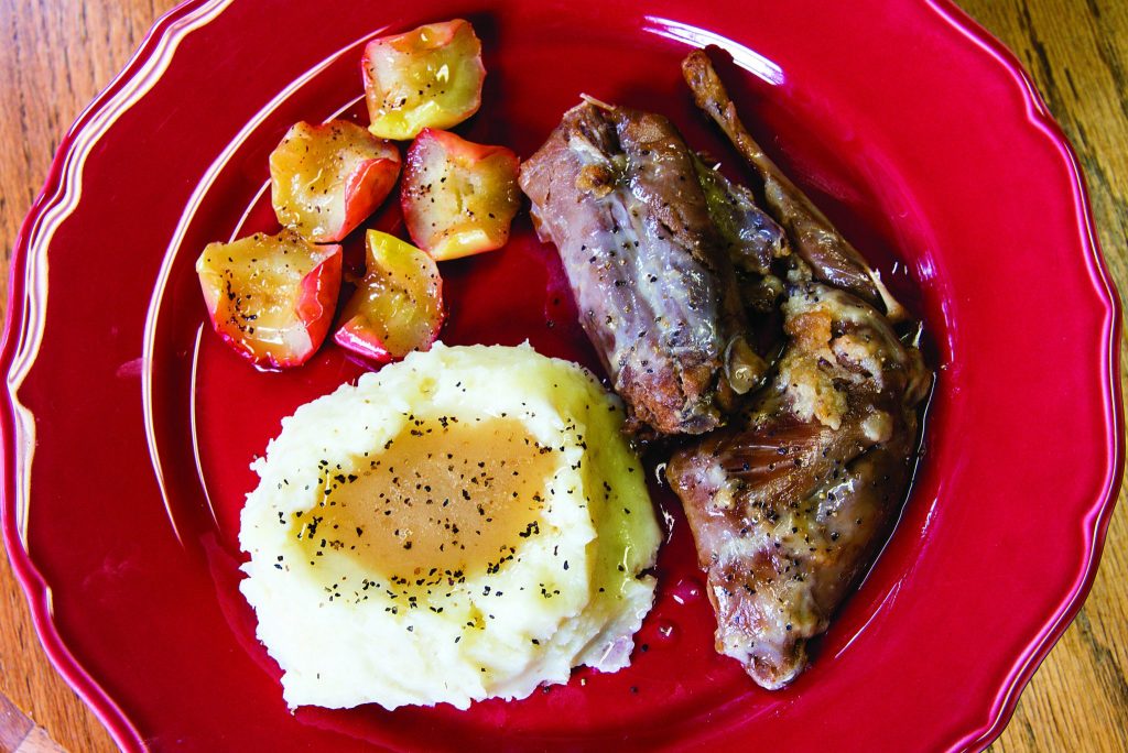 A close-up of rabbit-based Hasenpfeffer recipe, mashed potatoes with gravy, and veggies on a plate.