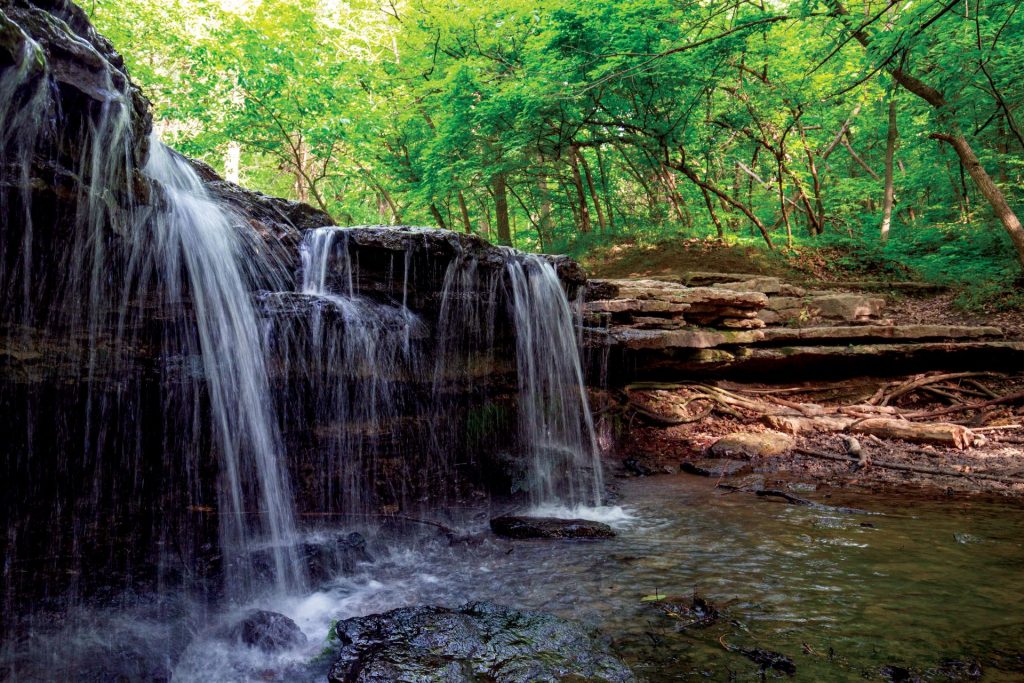 Stone Creek Falls at Platte River State Park during summer.