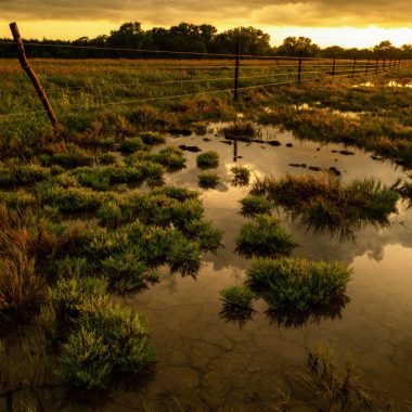 a sun sets above a shallow wetland