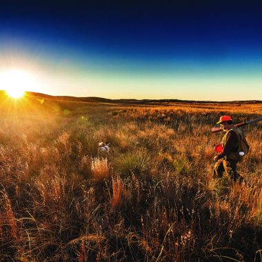 Upland bird hunter and dog in the Sandhills