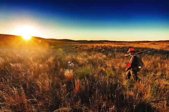 Upland bird hunter and dog in the Sandhills