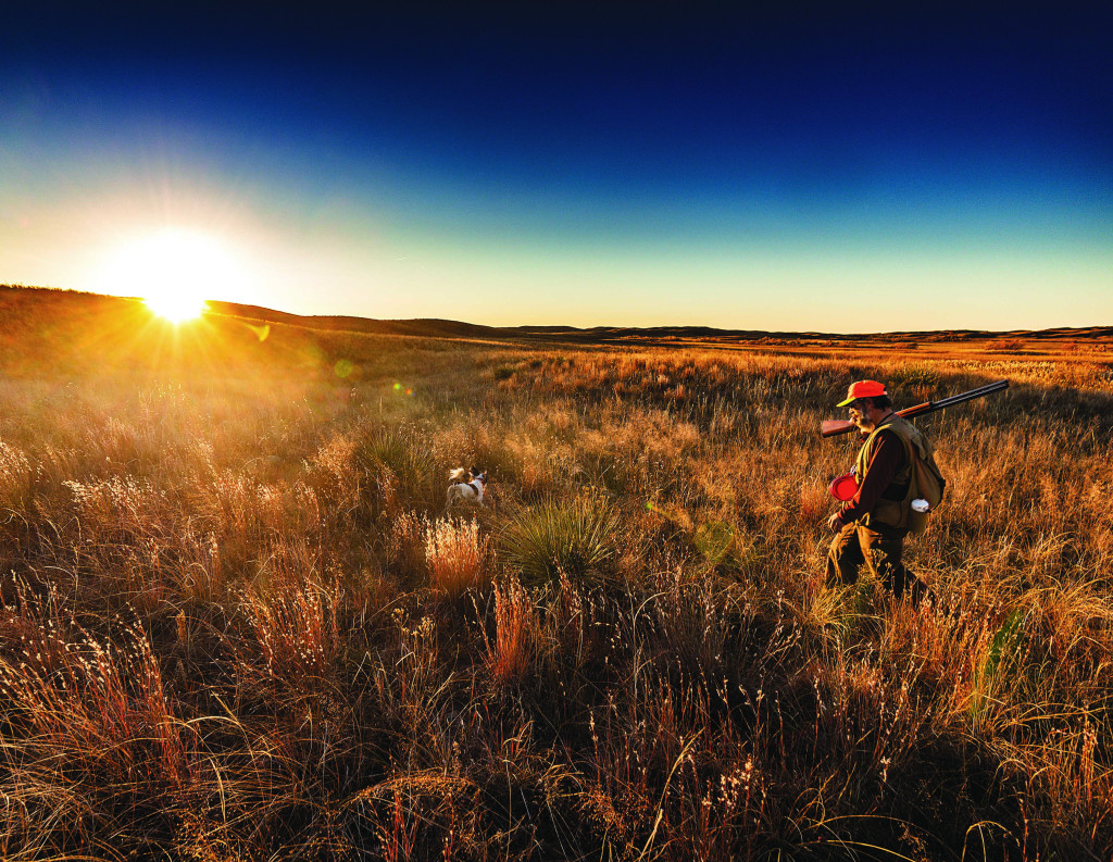 Upland bird hunter and dog in the Sandhills