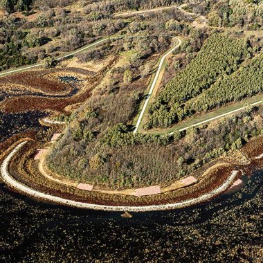 Cunningham habitat