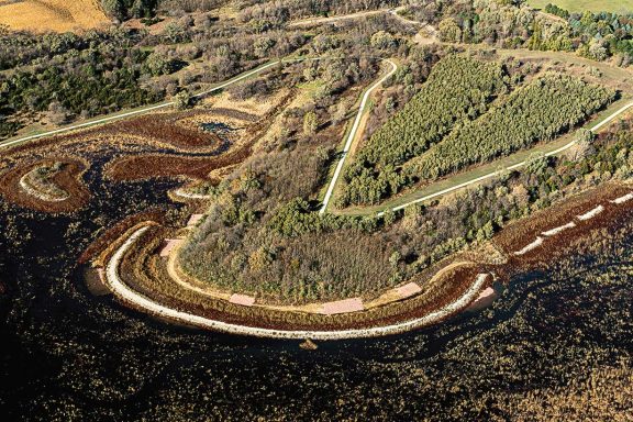 Cunningham habitat