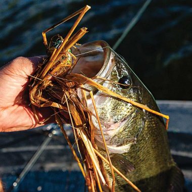 a man pulls a largemouth bass with a jig in its mouth out of the water