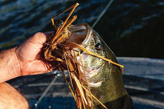 a man pulls a largemouth bass with a jig in its mouth out of the water