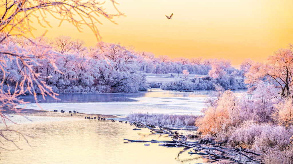 a yellow and pink sunset glint off of snow-covered trees along a river