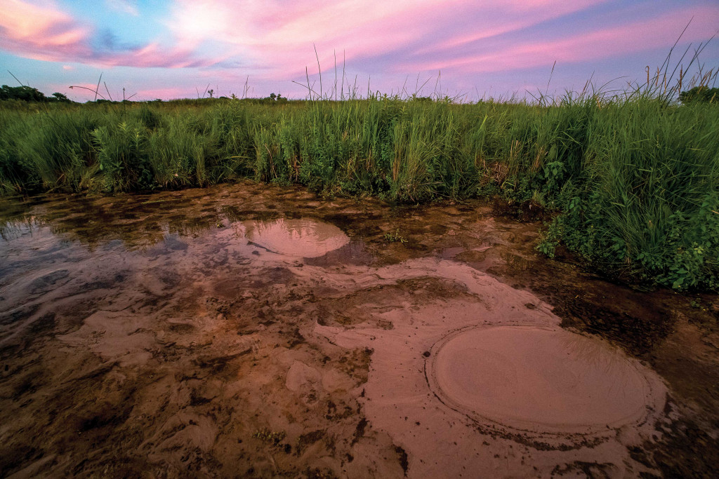 A purple and pink sunset sky enhance the color of a brown gurgling wetland