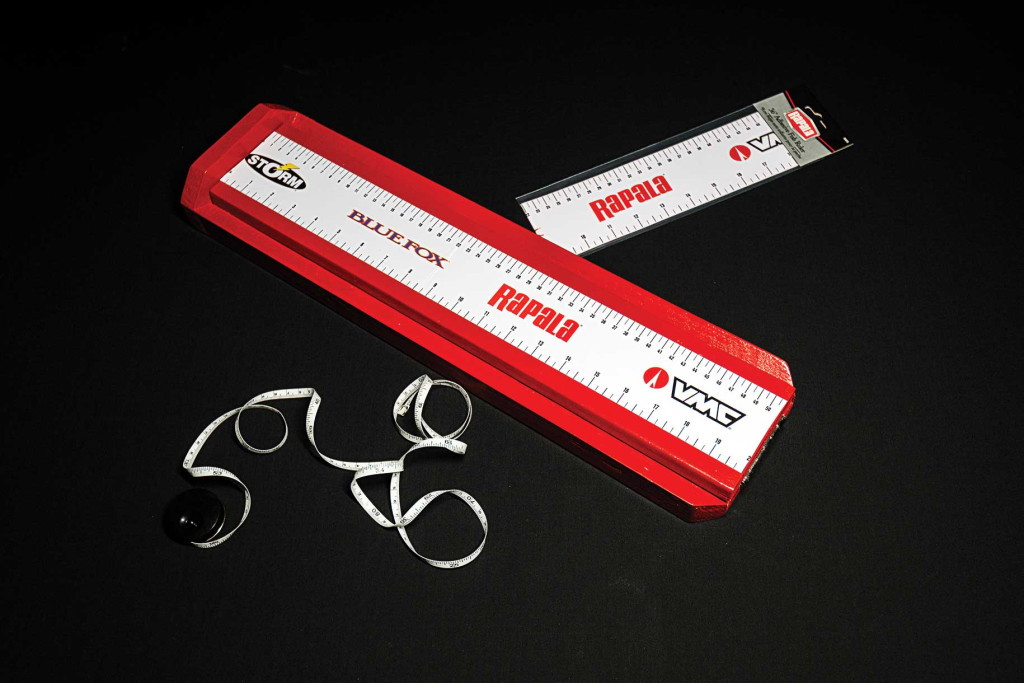 Fishing bump board and rulers