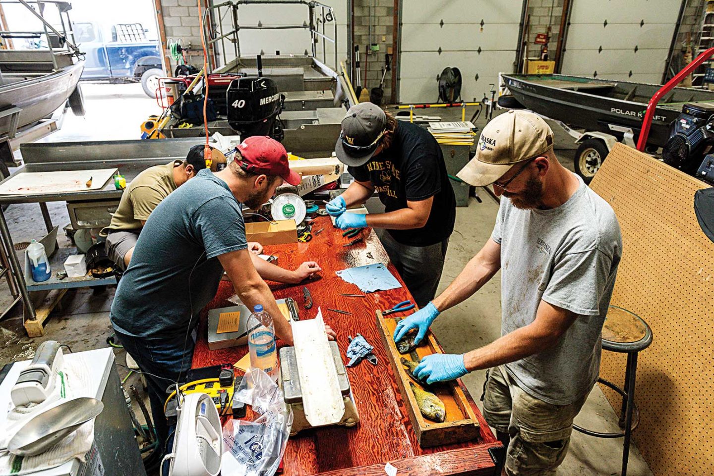 A group of men conduct fish research in a garage