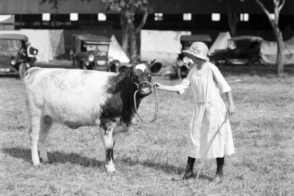 A woman poses with her 1st Heifer Calf Club at the Nebraska State Fair, 1924.