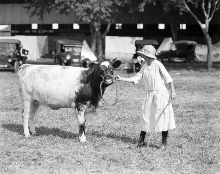 A woman poses with her 1st Heifer Calf Club at the Nebraska State Fair, 1924.