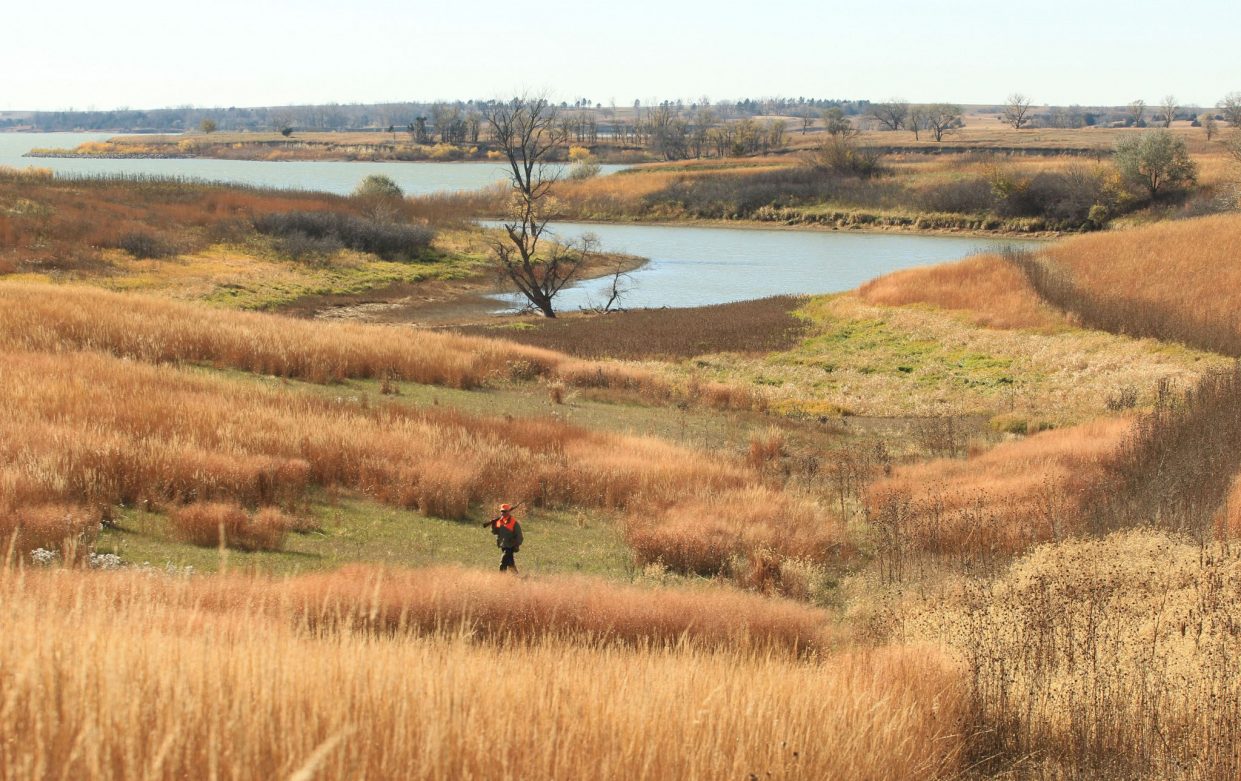 An upland bird hunter at Sherman Reservoir.