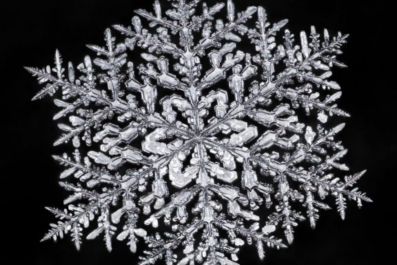 A macro photo of a snowflake.