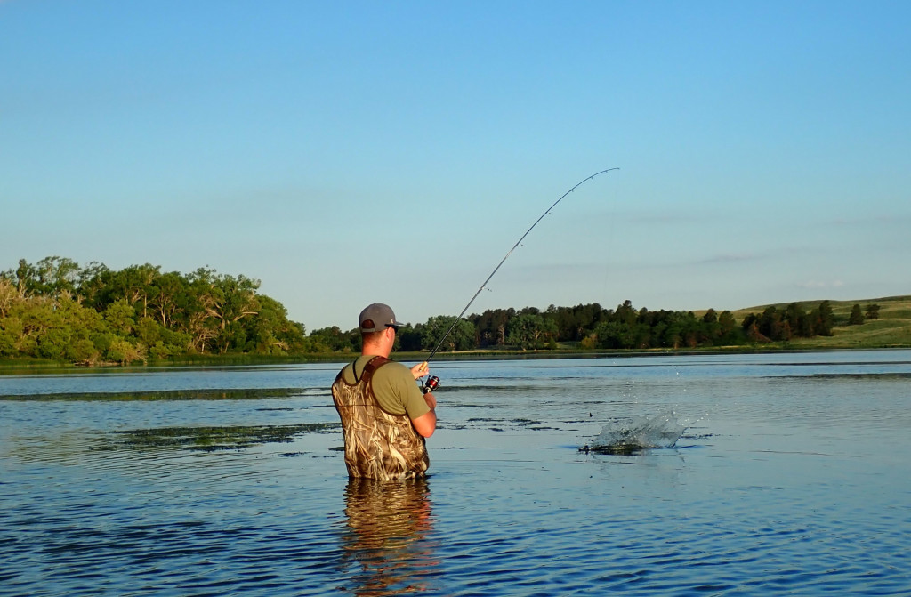 Daryl Bauer fishing