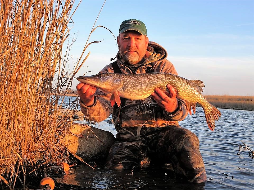 A man holds a northern pike caught at a Nebraska reservoir in early spring.