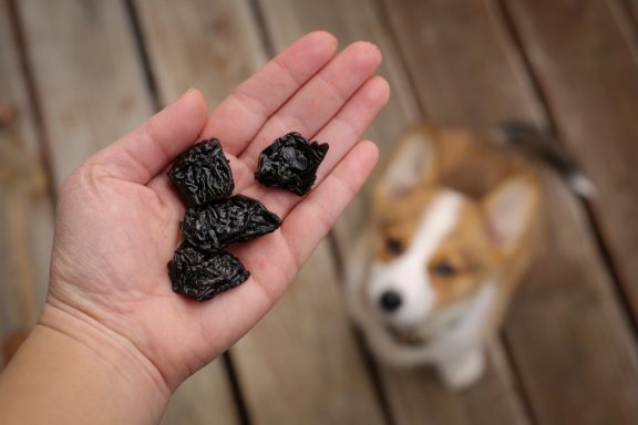 Deer liver chews for dogs.