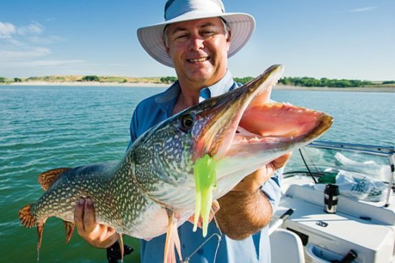 Lake McConaughy northern pike