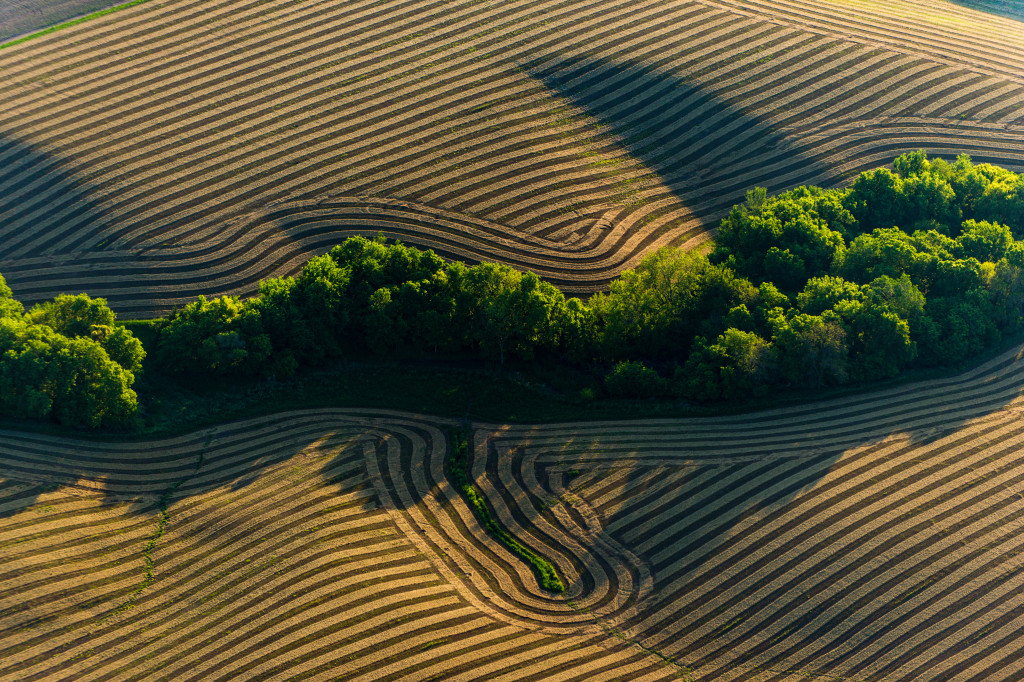 aerial photography patterns crop field