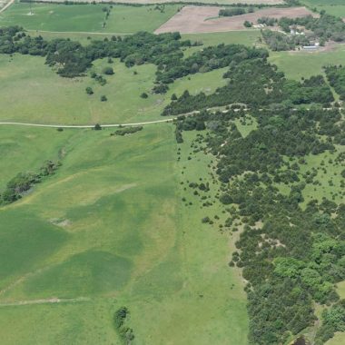 An aerial view of eastern redcedar encroachment in a grassland.