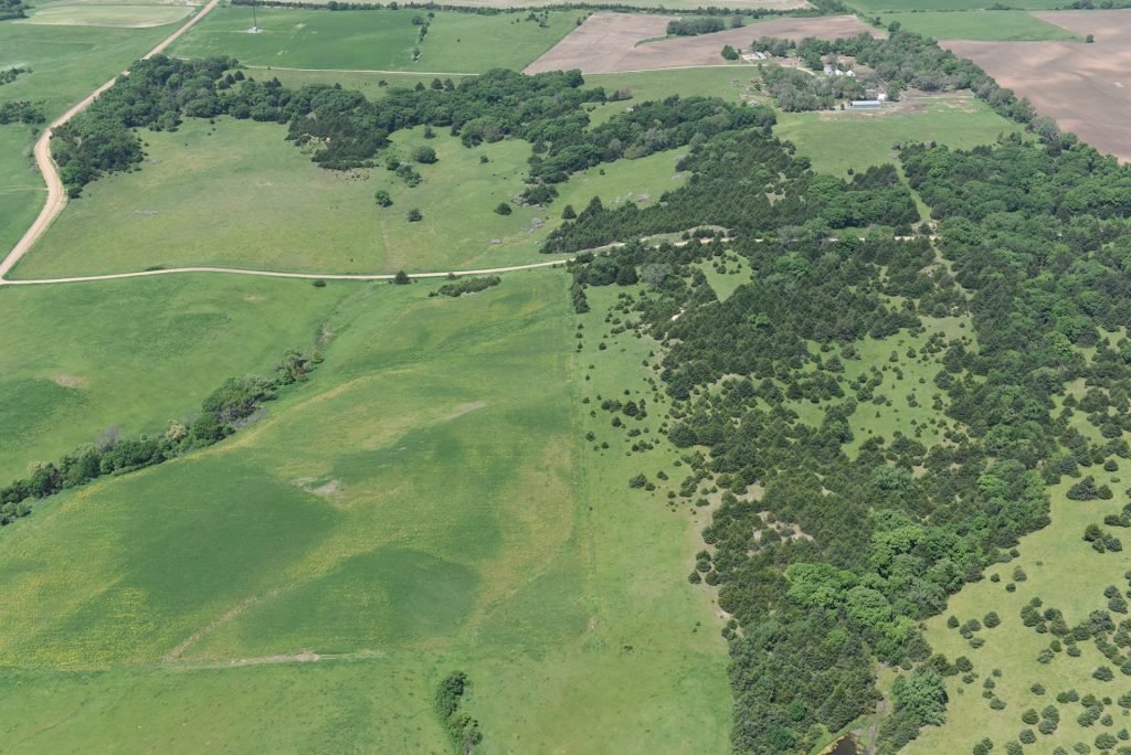 An aerial view of eastern redcedar encroachment in a grassland.