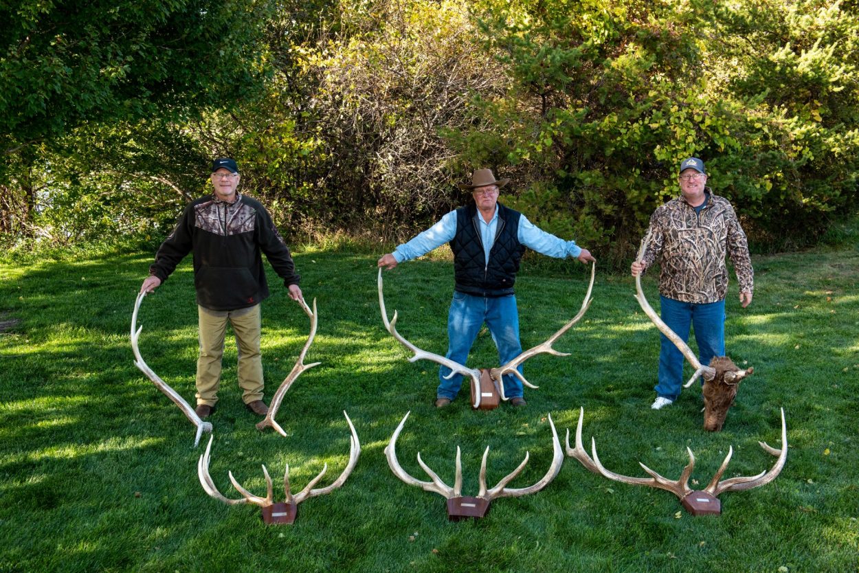 Clearwater elk shed antlers