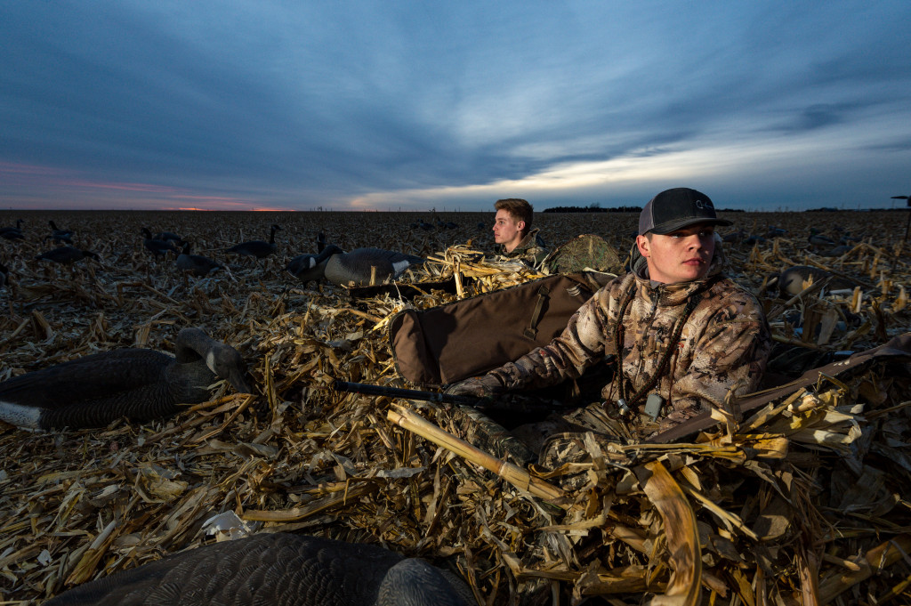 field hunting geese