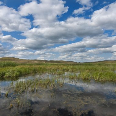 A flooded marsh, photographed during the summer in the Nebraska Sandhills, is a menagerie of greens below a white, puffy clouds and the bluest of skies.